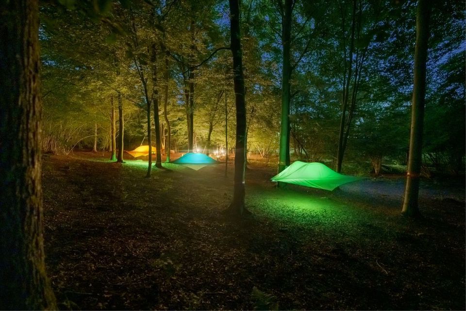 Tende sugli alberi illuminate e colorate sospese in una foresta buia di notte.