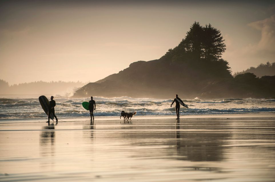 Quatre surfeurs d'un voyage de groupe WeRoad marchent avec leurs planches et deux chiens sur une plage humide au coucher du soleil.