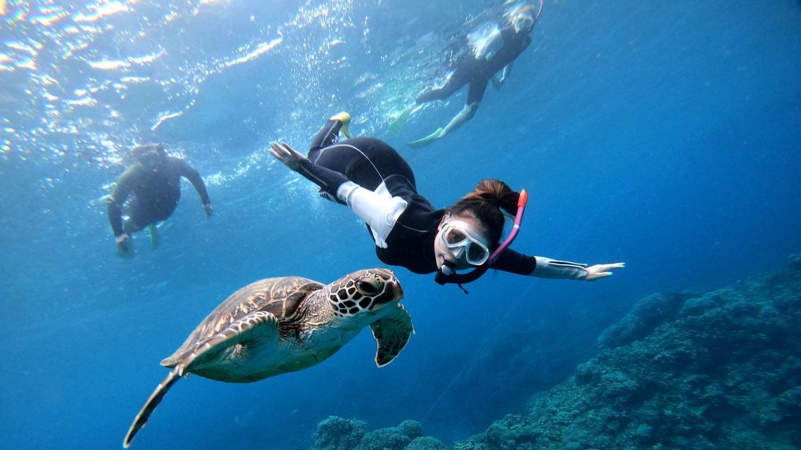 Una donna in viaggio di gruppo WeRoad fa snorkeling sott'acqua accanto a una grande tartaruga marina, sopra una barriera corallina.
