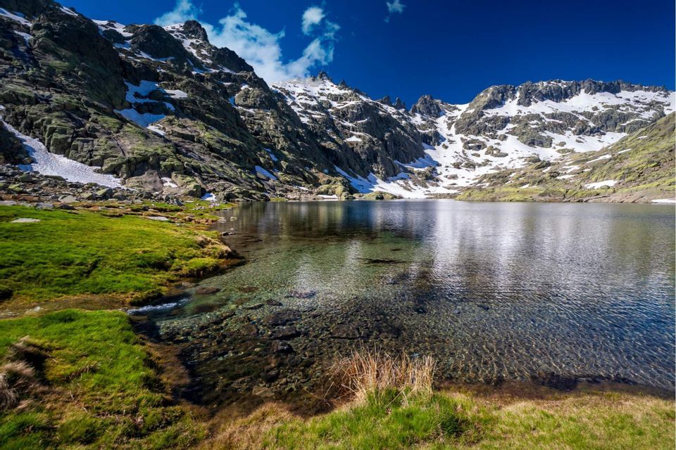 Un claro lago de montaña refleja picos nevados bajo un cielo azul profundo, con una orilla de hierba verde en primer plano.
