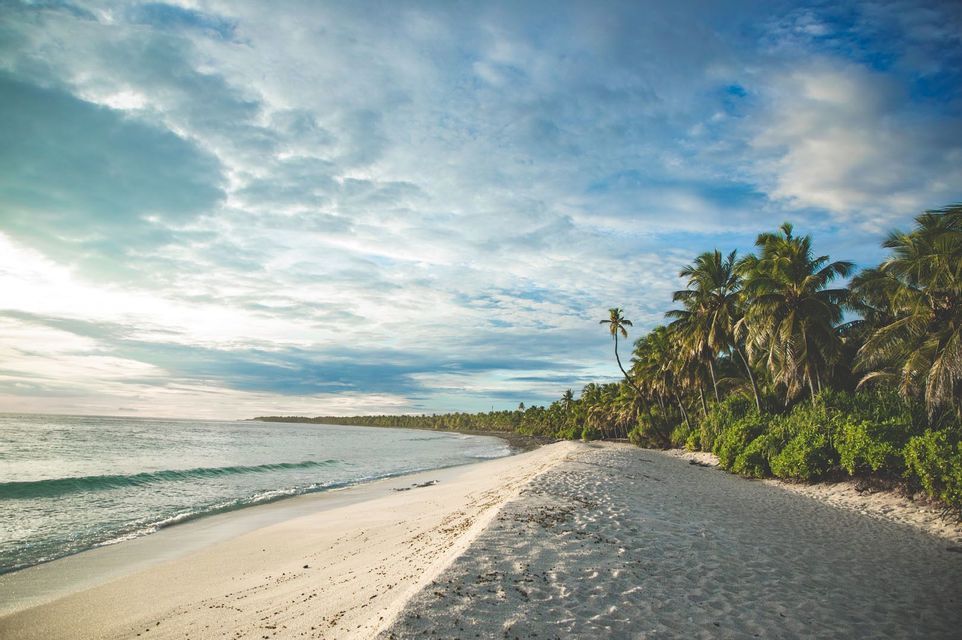 Una lunga spiaggia sabbiosa e deserta con onde oceaniche calme su un lato e una fitta fila di palme sull'altro.