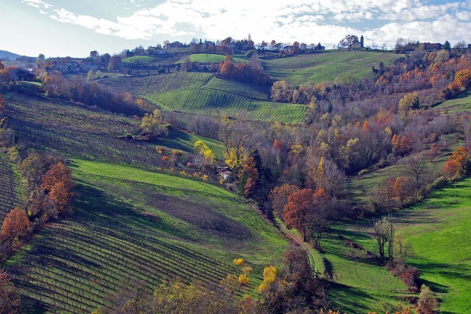 Dolci colline verdi con vigneti e alberi autunnali colorati, con un borgo all'orizzonte sotto un cielo nuvoloso.