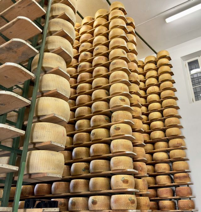 Grandi forme di formaggio che stagionano su alti scaffali di legno all'interno di una stagionatura di un caseificio.