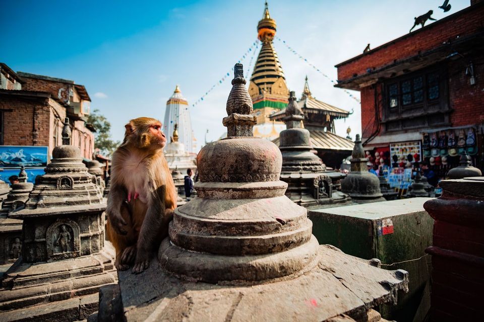 Ein Makakenaffe sitzt auf einer kleinen Stein-Stupa in einem Tempelkomplex, mit größeren Stupas und einem klaren blauen Himmel im Hintergrund.