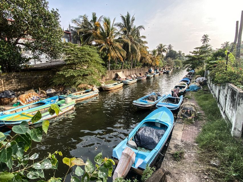Kleine Boote liegen in einer langen Reihe entlang eines schmalen Kanals, gesäumt von Palmen und üppiger Vegetation.