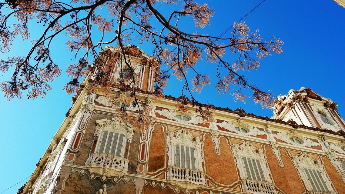 Una vista dal basso di un edificio ornato con una facciata rossa e bianca, incorniciato da rami d'albero contro un cielo azzurro limpido.