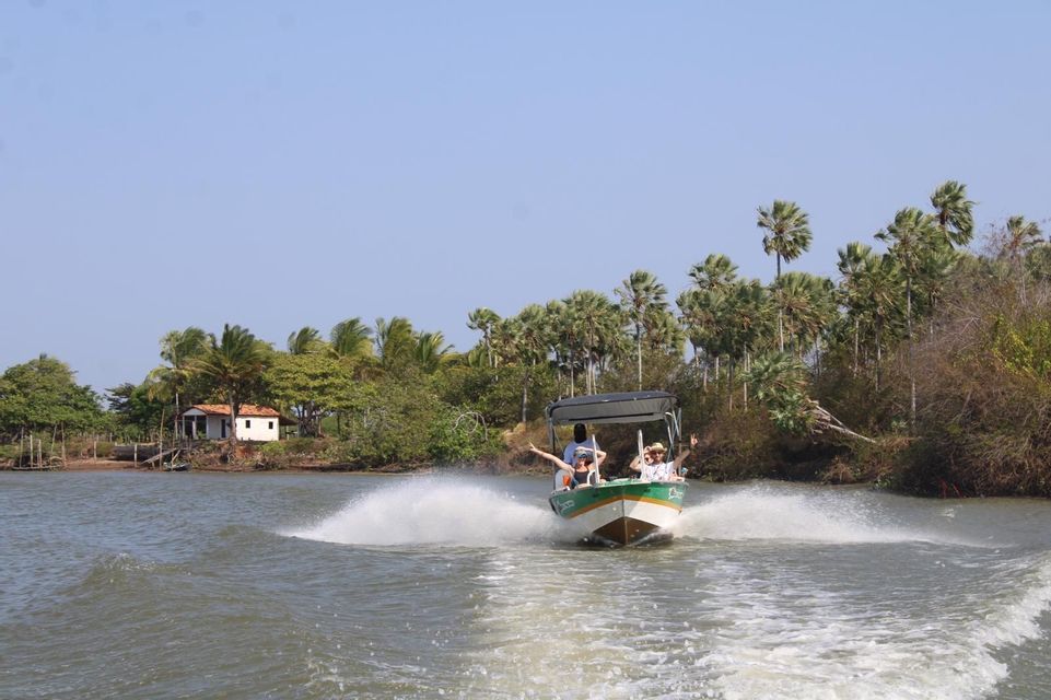Un viaggio di gruppo WeRoad sfreccia su un motoscafo lungo un fiume, con una riva costeggiata da palme sullo sfondo.