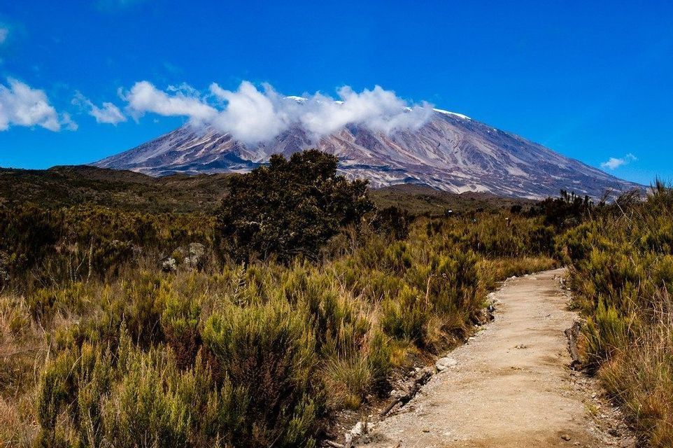 Un chemin de terre serpente à travers une brousse herbeuse vers une grande montagne coiffée de nuages sous un ciel bleu clair.