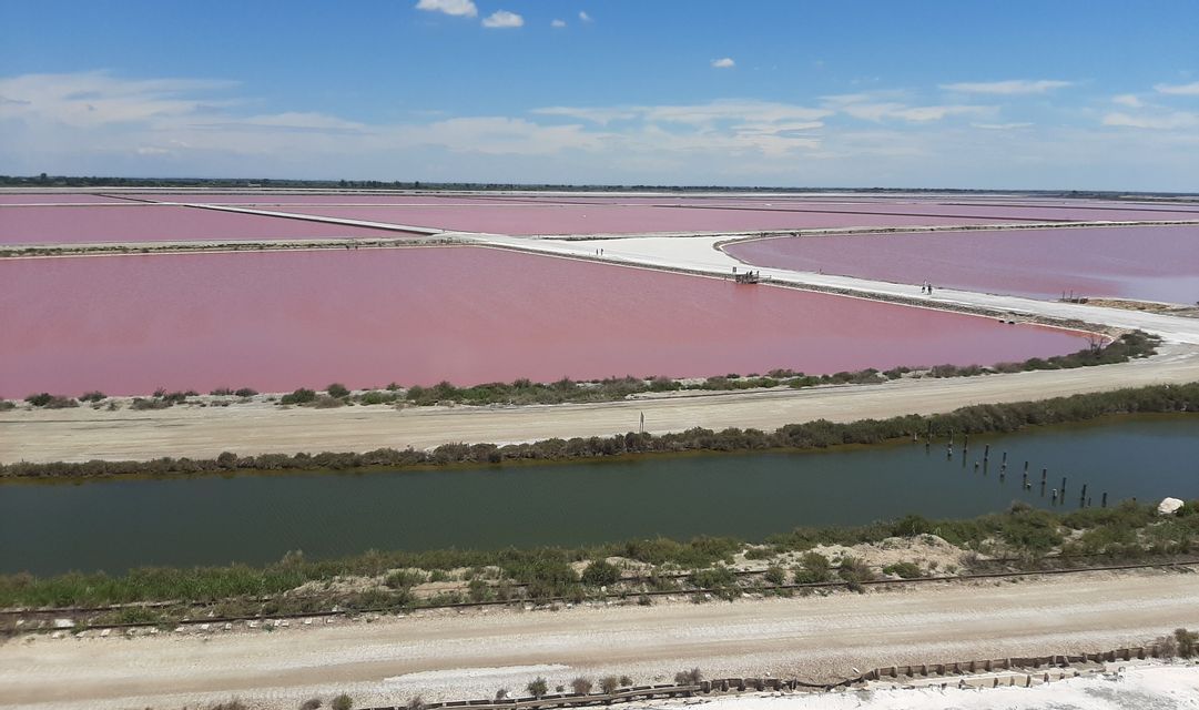 Une vue aérienne de vastes salines roses sectionnées par des chemins blancs, avec un canal vert au premier plan sous un ciel bleu.