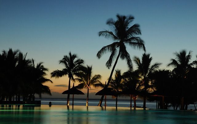Silhouettierte Palmen und Strohschirme an einem Infinity-Pool bei Sonnenuntergang, mit dem Ozean im Hintergrund.