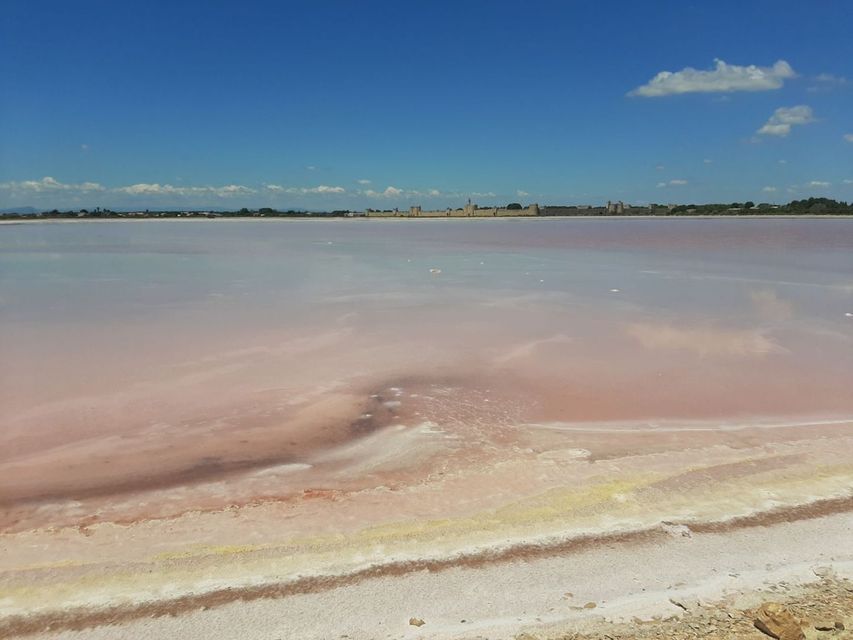 Un vaste lac salé rose avec une rive incrustée de sel sous un ciel bleu, avec une ville visible à l'horizon lointain.