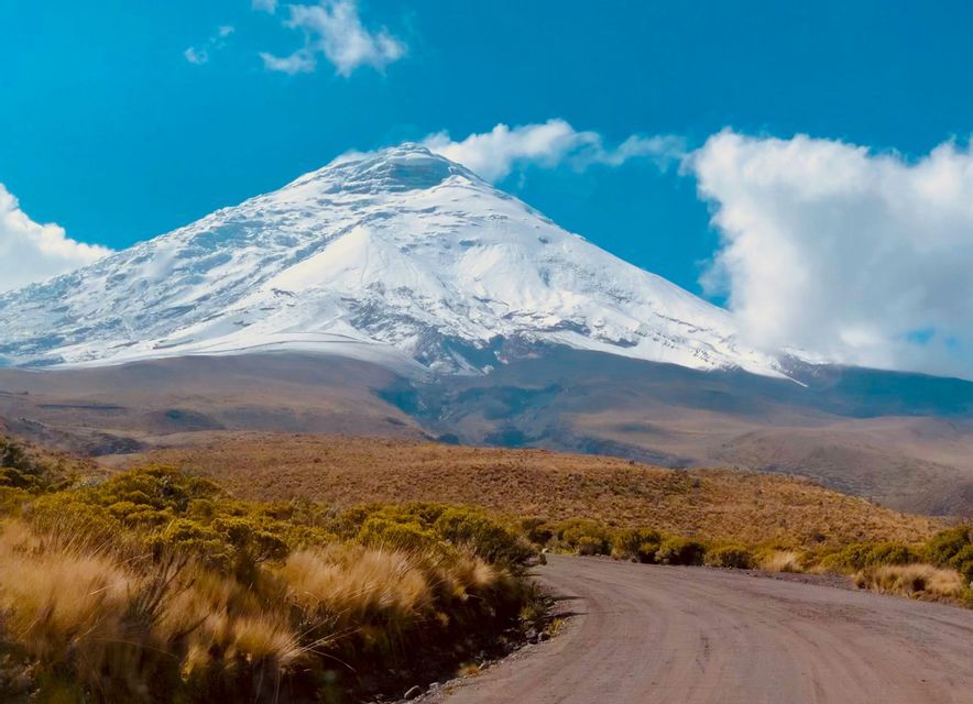 Un camino de tierra sinuoso atraviesa un paisaje seco y cubierto de hierba hacia una enorme montaña nevada bajo un cielo azul.