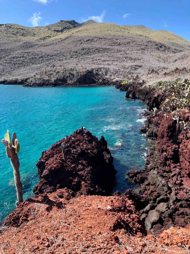 Una bahía turquesa bordeada por una costa de roca volcánica roja con cactus y una gran colina árida bajo un cielo azul.