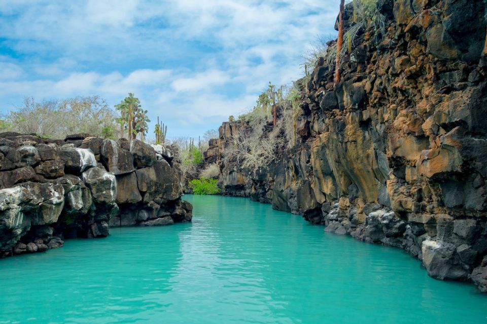 Un estrecho canal de agua turquesa atraviesa altos acantilados de roca volcánica oscura, coronados con cactus bajo un cielo azul.