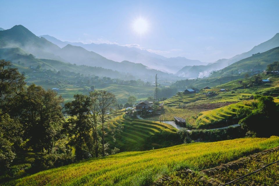 Un'ampia vista di terrazze di riso verdi e dorate su dolci colline, con montagne nebbiose visibili sotto un sole splendente.
