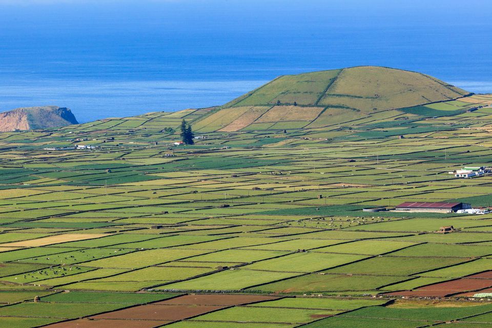 Un vaste paysage côtier de champs verts en patchwork séparés par des murs de pierre, avec une grande colline et la mer bleue en arrière-plan.
