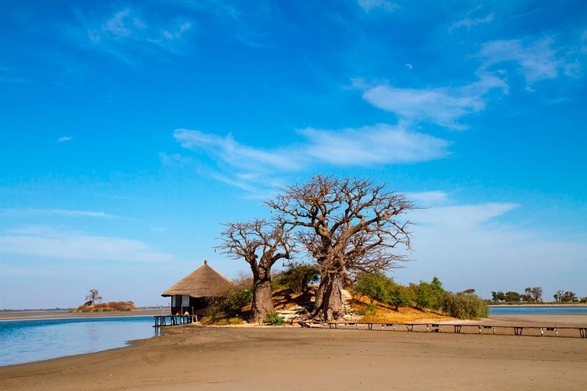 A hut with a thatched roof stands next to two large baobab trees on a sandy riverbank under a bright blue sky.