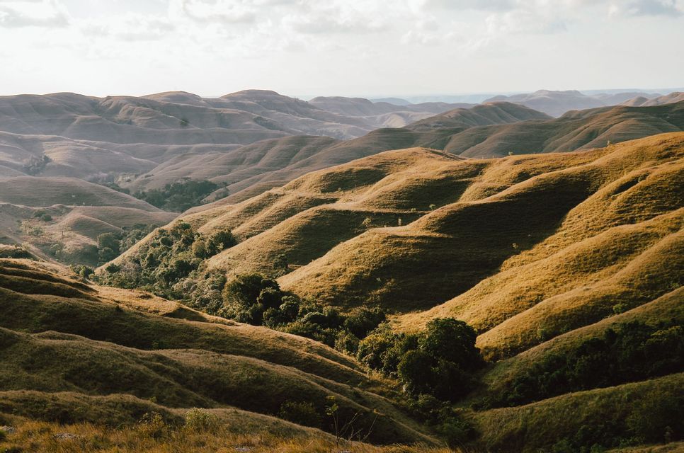 Vaste colline ondulate coperte d'erba dorata sono illuminate dalla luce del sole sotto un cielo velato, con alberi verdi nelle valli.