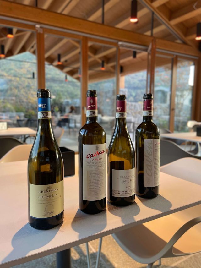 Quattro bottiglie di vino sono disposte su un tavolo bianco per una degustazione, in una sala moderna con ampie finestre che si affacciano su una collina.