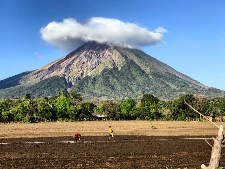Deux personnes travaillent dans un champ cultivé au pied d'un grand volcan, avec un seul nuage reposant sur son sommet.