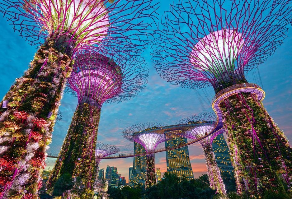 Una vista en ángulo bajo de estructuras arbóreas futuristas cubiertas de plantas, iluminadas en púrpura, con el horizonte de una ciudad moderna visible al atardecer.