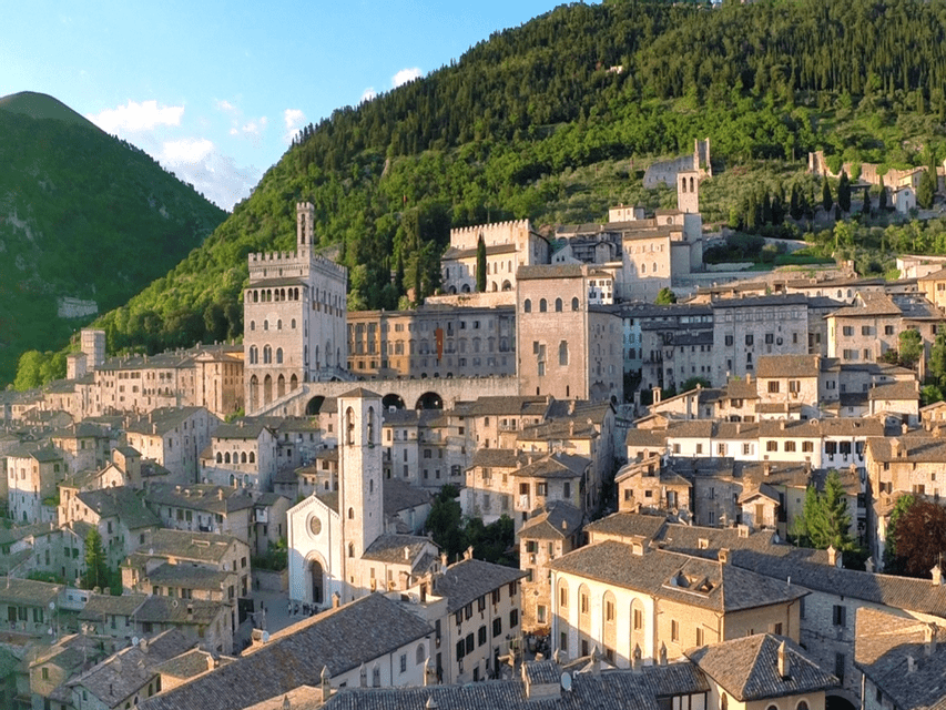 Una città storica con edifici in pietra e torri, adagiata su un rigoglioso pendio alberato sotto un cielo limpido.