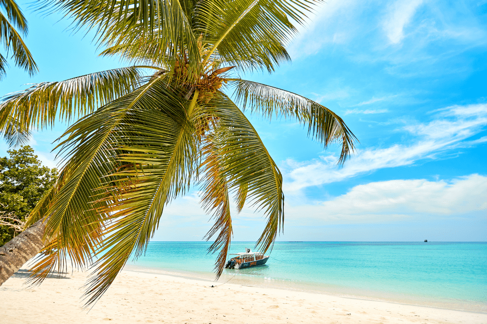 Eine Palme neigt sich über einen weißen Sandstrand, ein Boot liegt im türkisfarbenen Wasser unter einem blauen Himmel mit leichten Wolken.