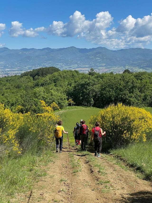 Un gruppo WeRoad percorre un sentiero sterrato su un verde fianco di collina con fiori gialli, affacciandosi su una valle e montagne.