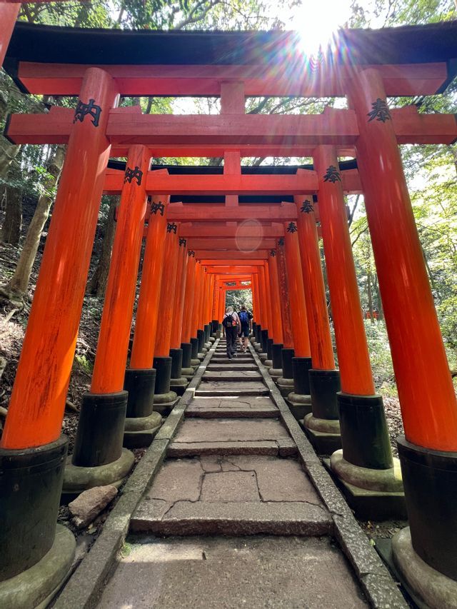 Un viaggio di gruppo WeRoad che sale una scalinata di pietra sotto un lungo tunnel di portali torii rosso-arancio in una foresta.