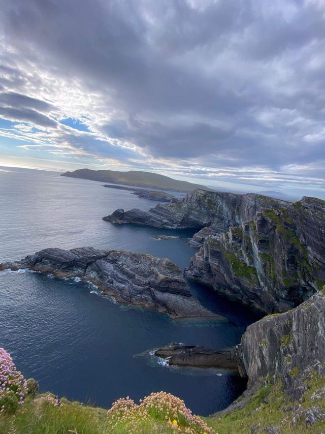 Acantilados rocosos se adentran en un mar azul profundo a lo largo de una costa escarpada, vistos desde un acantilado con flores silvestres bajo un cielo nublado.