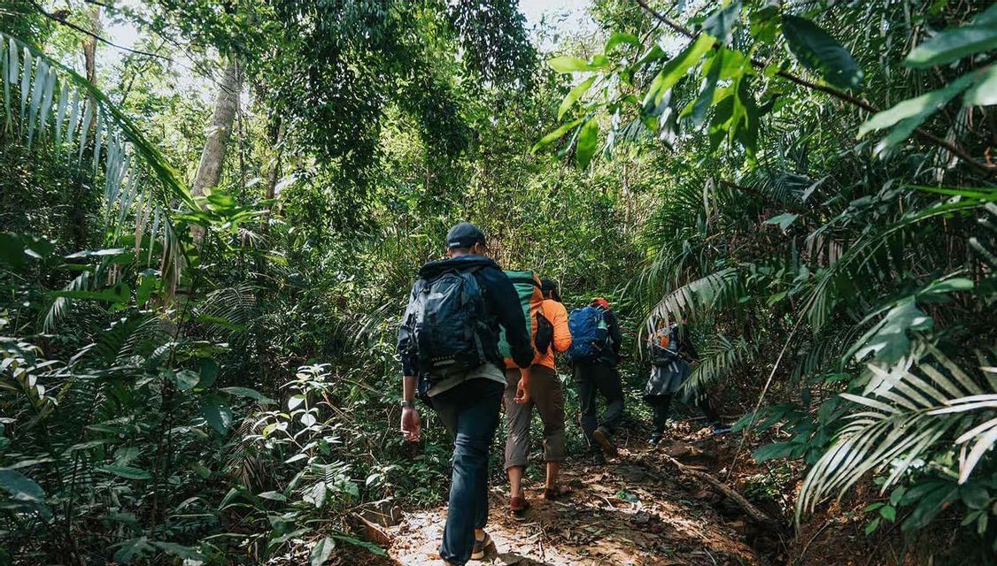 Un viaggio di gruppo WeRoad con zaini, escursioni lungo un sentiero attraverso una giungla densa e soleggiata.