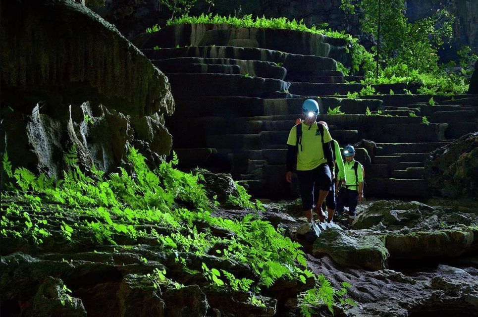 Un viaggio di gruppo WeRoad, indossando lampade frontali, esplora una grotta buia con formazioni rocciose terrazzate coperte da felci di un verde brillante.