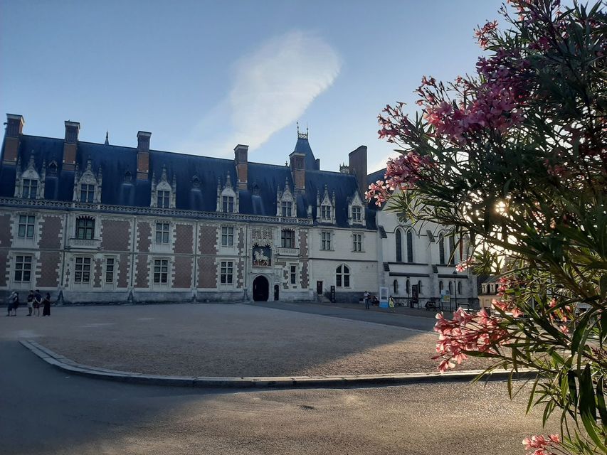 Un château historique se dresse derrière une grande cour de gravier, avec des lauriers-roses en fleurs au premier plan ensoleillé.