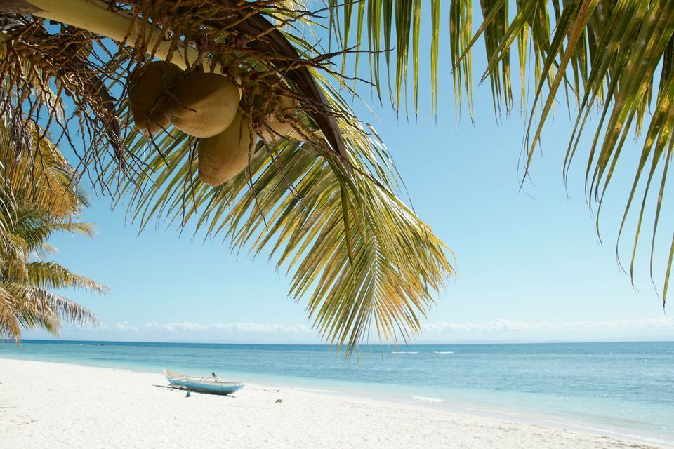 Palmenblätter mit Kokosnüssen hängen über einem weißen Sandstrand mit einem kleinen Boot und ruhigem, blauem Meer unter klarem Himmel.