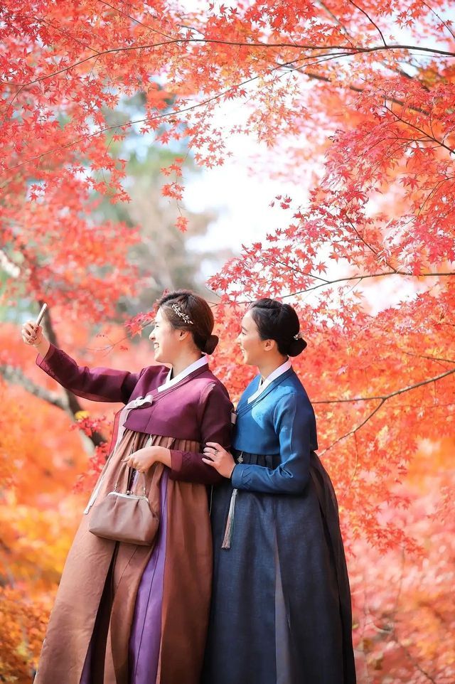 Two women in traditional hanbok take a selfie with a smartphone under trees with bright red autumn leaves.
