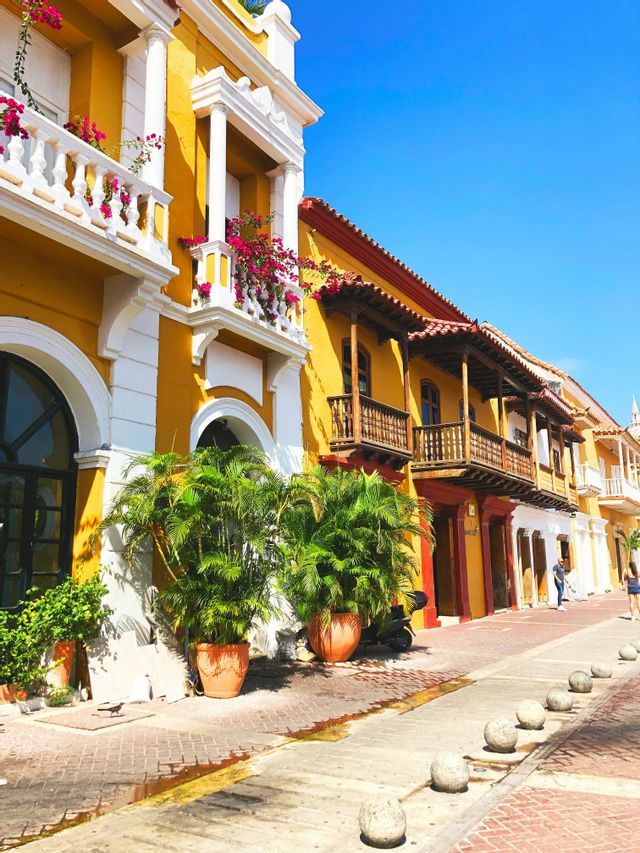 Edifici coloniali colorati con fiori sui balconi fiancheggiano una strada soleggiata con palme in vaso sotto un cielo azzurro.