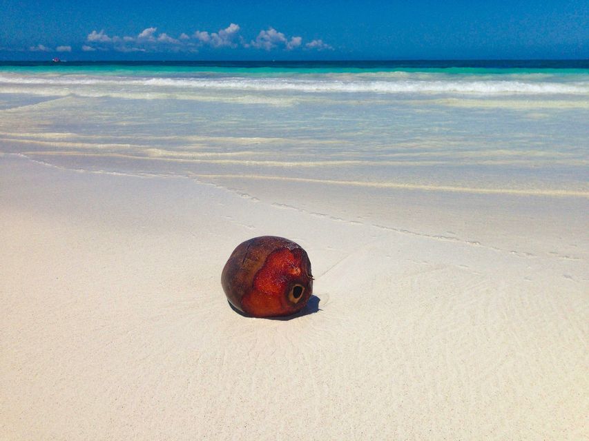 Una singola noce di cocco riposa su una spiaggia di sabbia bianca con dolci onde turchesi sotto un cielo azzurro chiaro.