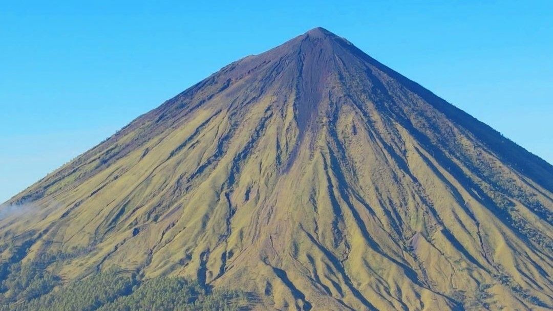 Un grande vulcano conico con pendii verdi solcati e una cima scura e spoglia contro un cielo azzurro limpido.