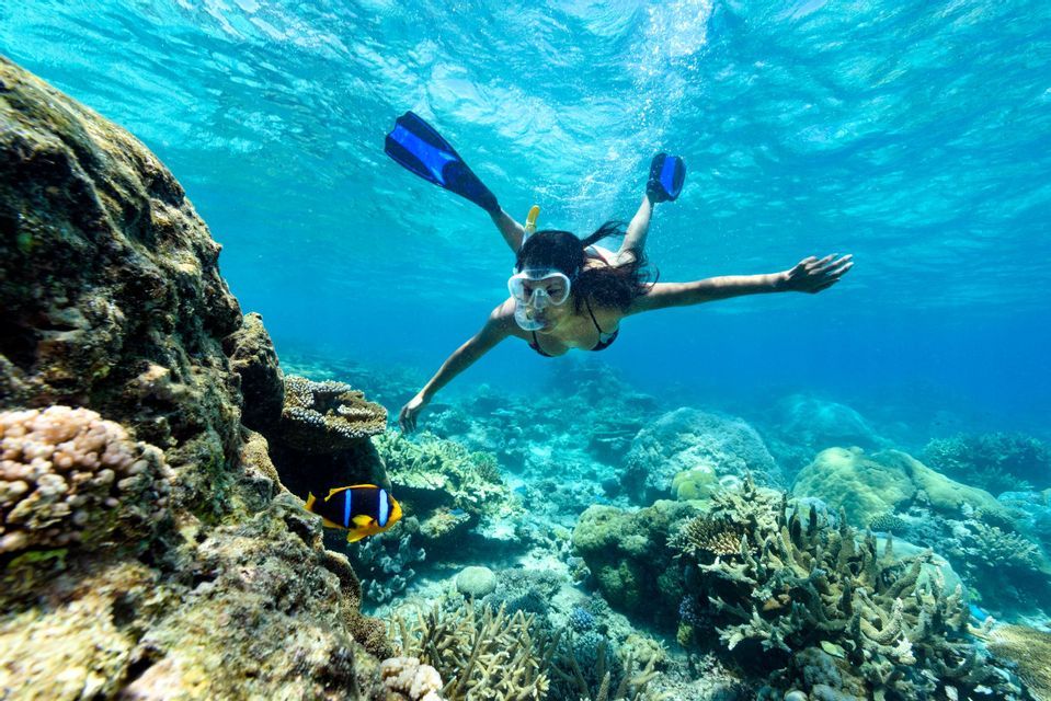 Una donna fa snorkeling con le pinne in acque cristalline su una barriera corallina con un piccolo pesce pagliaccio nelle vicinanze.