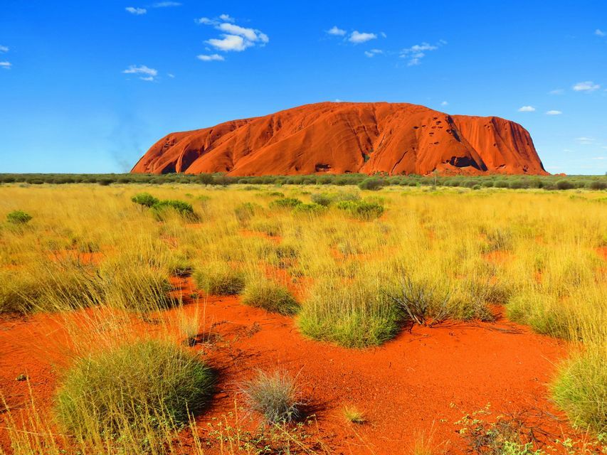 Unter einem klaren blauen Himmel erhebt sich ein großer roter Sandsteinmonolith aus einem Feld von gelben Gräsern und roter Erde.