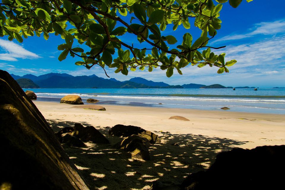 Una rama frondosa de árbol enmarca una vista de una playa soleada y arenosa con agua azul tranquila y montañas a lo lejos.