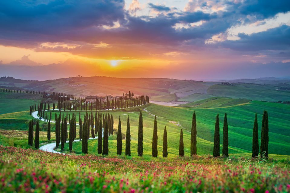 A winding road lined with tall cypress trees snakes through rolling green hills under a colorful sunset sky.