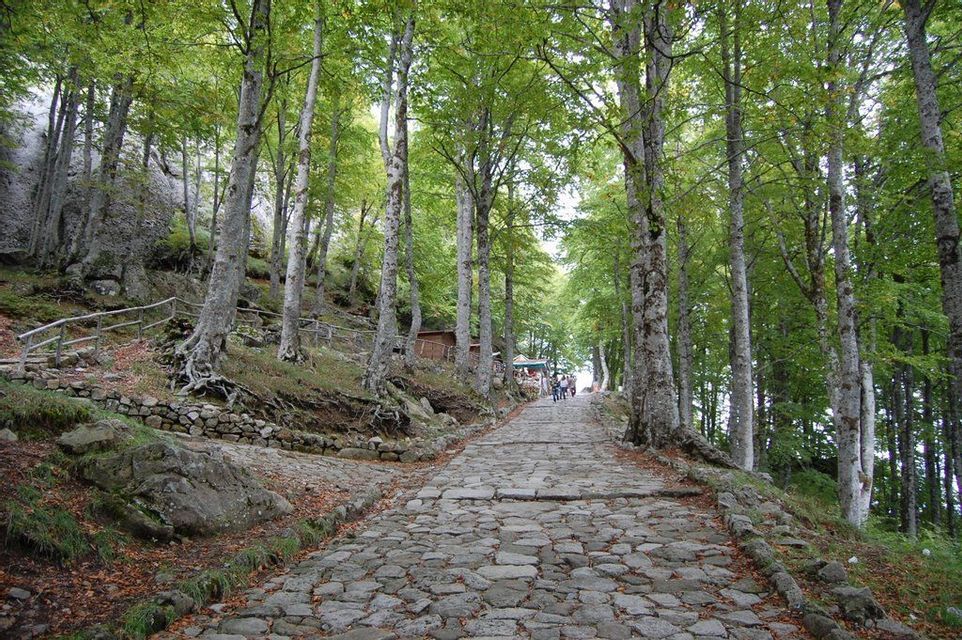 Un ancho camino empedrado asciende a través de un bosque de árboles altos con hojas verdes, con personas visibles a lo lejos.