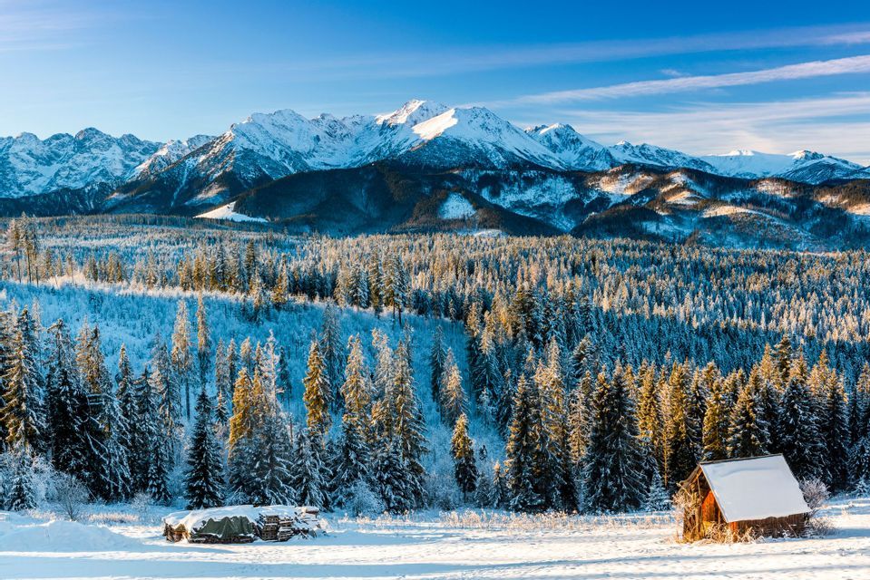 Eine schneebedeckte Landschaft mit einer kleinen Holzhütte, einem dichten Kiefernwald und sonnenbeschienenen Berggipfeln unter einem klaren blauen Himmel.
