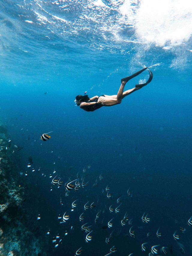 Eine Person taucht frei im klaren blauen Wasser über einem großen Schwarm tropischer Fische.