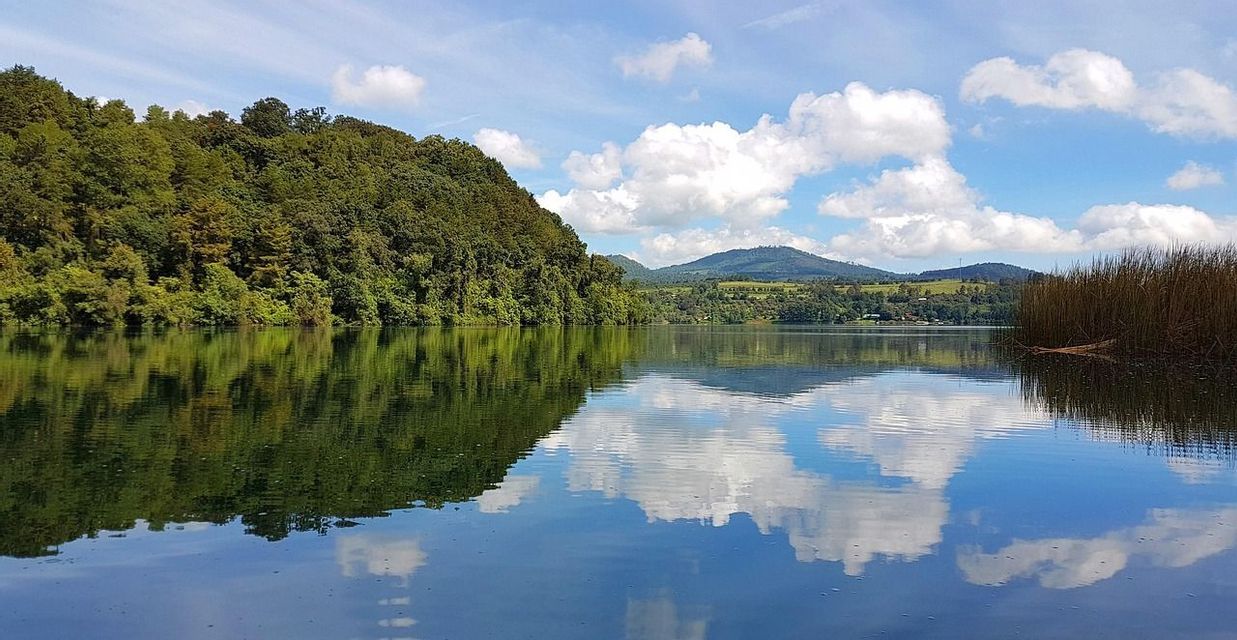 Ein bewaldeter Hügel und weiße Wolken spiegeln sich an einem klaren Tag im stillen Wasser eines Sees.