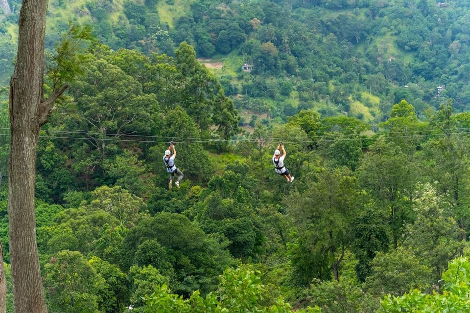 Dos personas con cascos y arneses haciendo tirolina en líneas paralelas muy por encima de un denso y verde bosque.