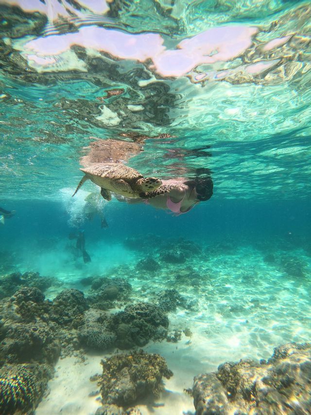 An underwater view of a woman snorkeling next to a sea turtle in clear turquoise water over a coral reef.