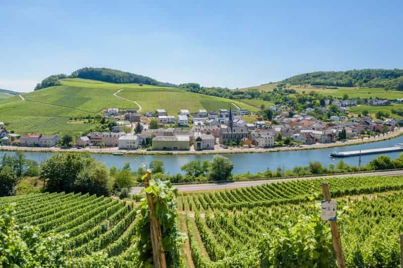 Vista da un rigoglioso vigneto che si affaccia su un villaggio in riva al fiume, con dolci colline verdi in lontananza.
