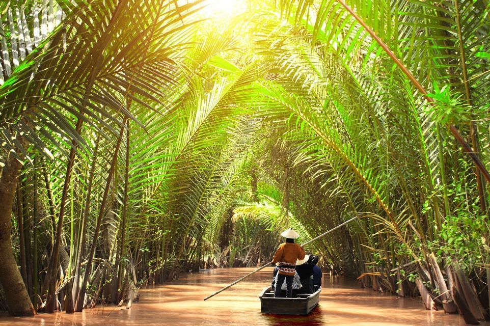 Mekong Delta palms Rowing through a palm-lined canal in the Mekong Delta